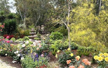 Style Spotlight: Cottage Garden