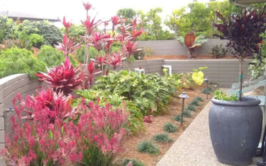 Style Spotlight: Tropical Garden Landscape