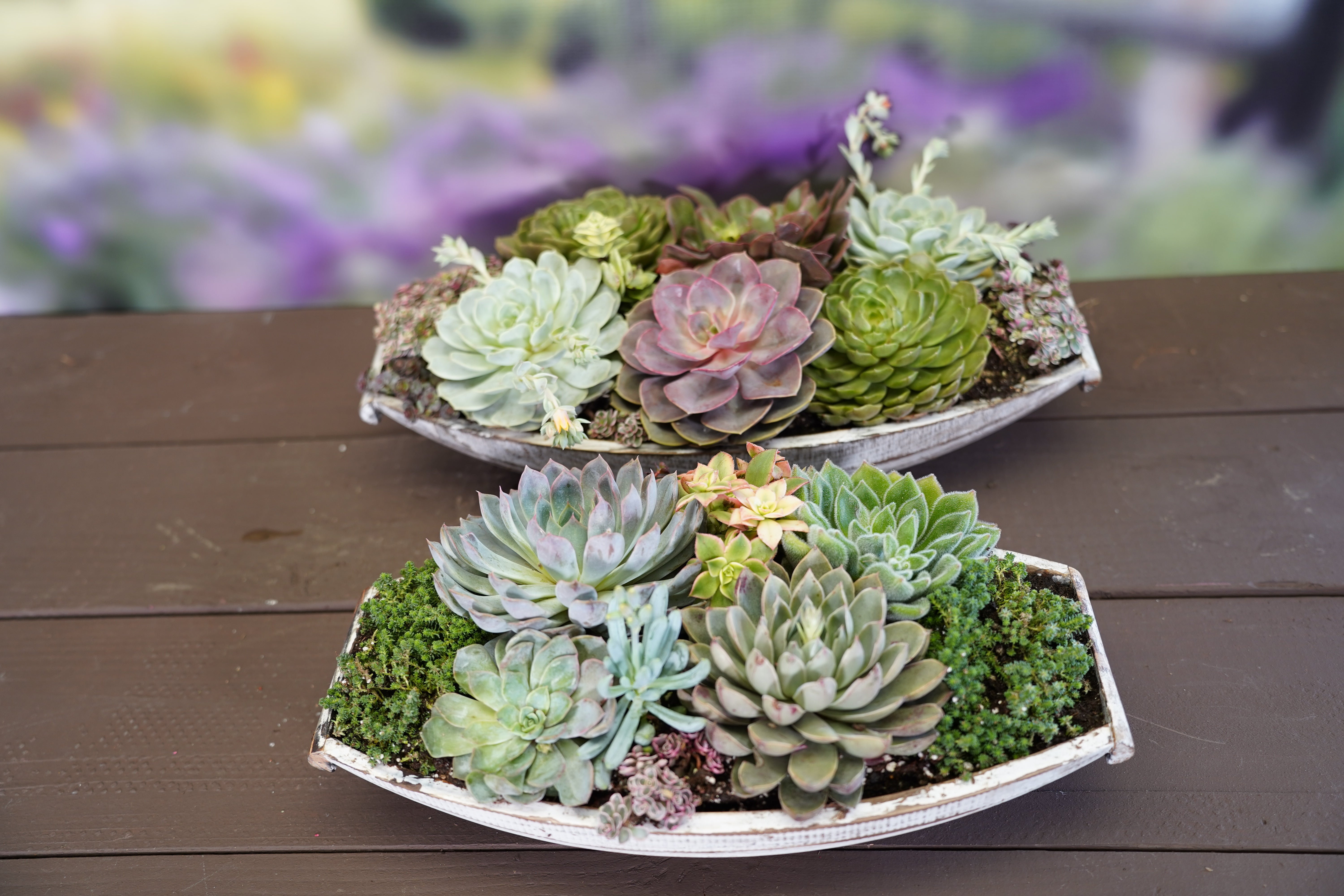 trough for succulents Armstrong garde 19" Wooden Trough