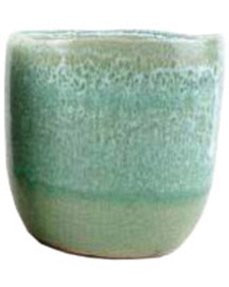 Pacific Home & Garden Jewel Tea Cup Pots – Armstrong Garden Centers