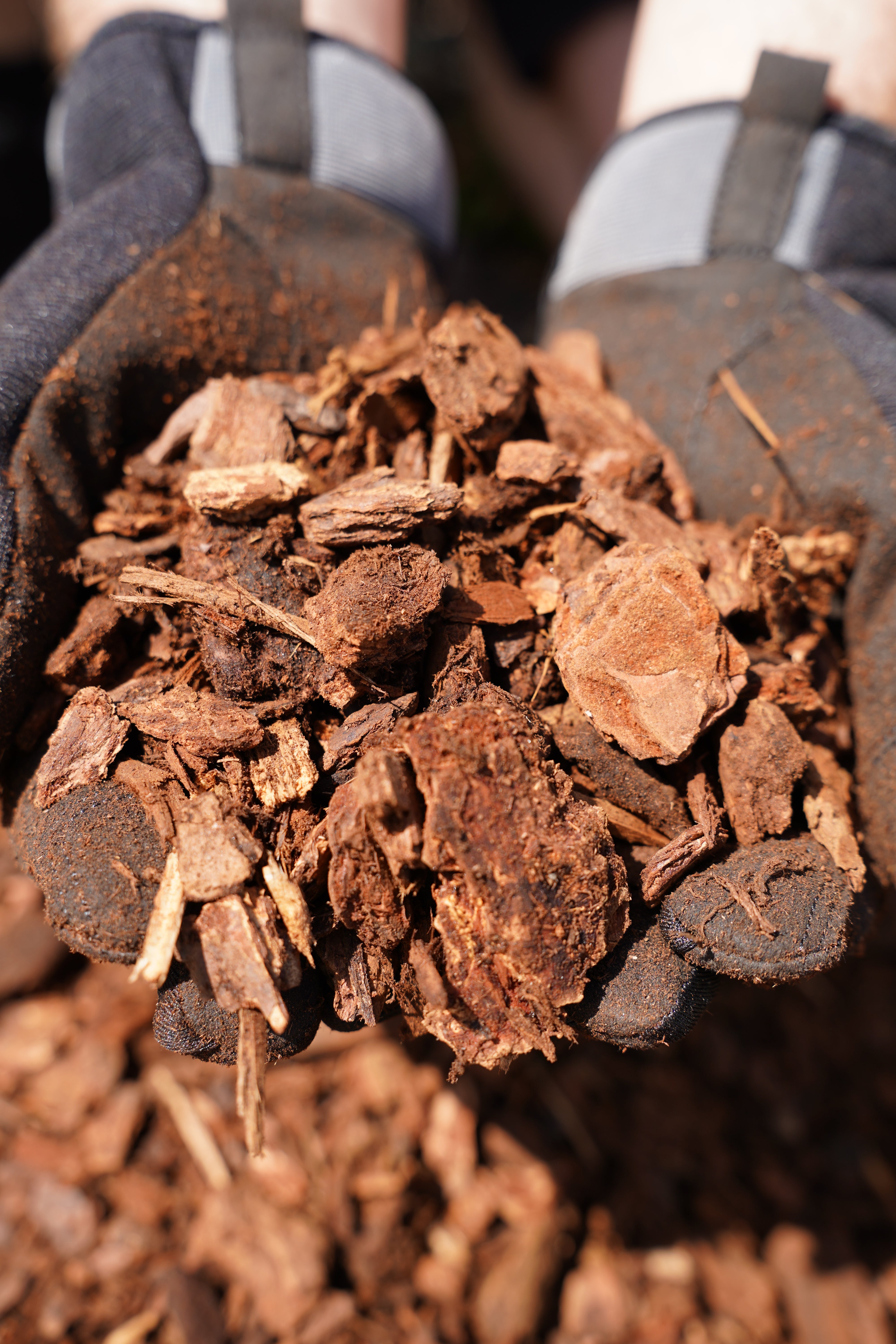 GreenAll® Medium Patio Bark Decorative Mulch – Armstrong Garden