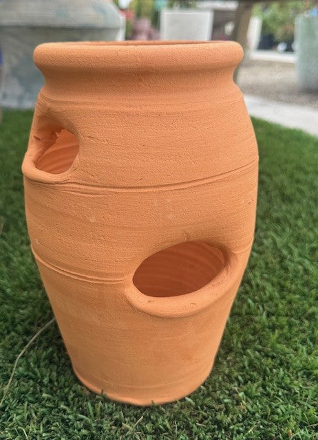 strawberry plant pot terracotta Strawberry Pot
