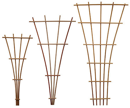 wooden fan trellis Redwood Fan Trellis
