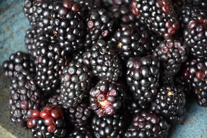 drop Blackberry Recordings BBR-04　CD J840-15__37258.1674854412.1280