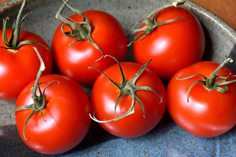 Patio Tomato – Armstrong Garden Centers