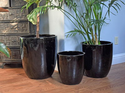 black glazed plant pots Milano Cone Planter, Black