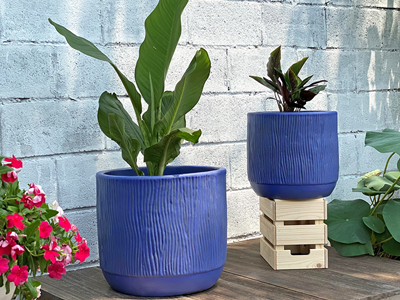 blue plant pot indoor Delphinium Planter, Classic Blue