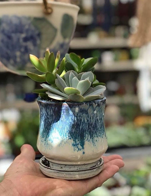 etsy ceramic flower pots Lily Pot With Attached Saucer, Mocha