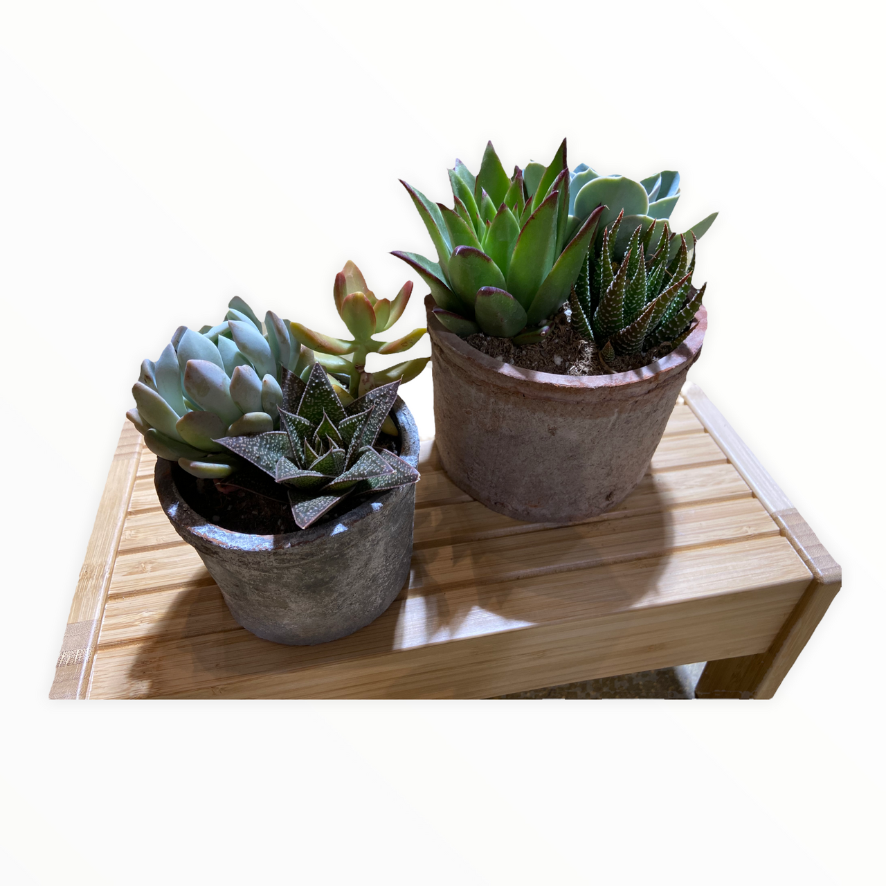 grey succulent pot Bexley Grey Farm Succulent Pot – Armstrong Garden Centers