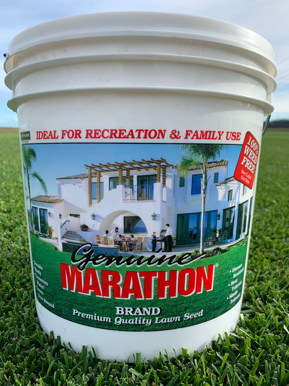 planting marathon grass seed Marathon 1 Grass Seed 5 lbs