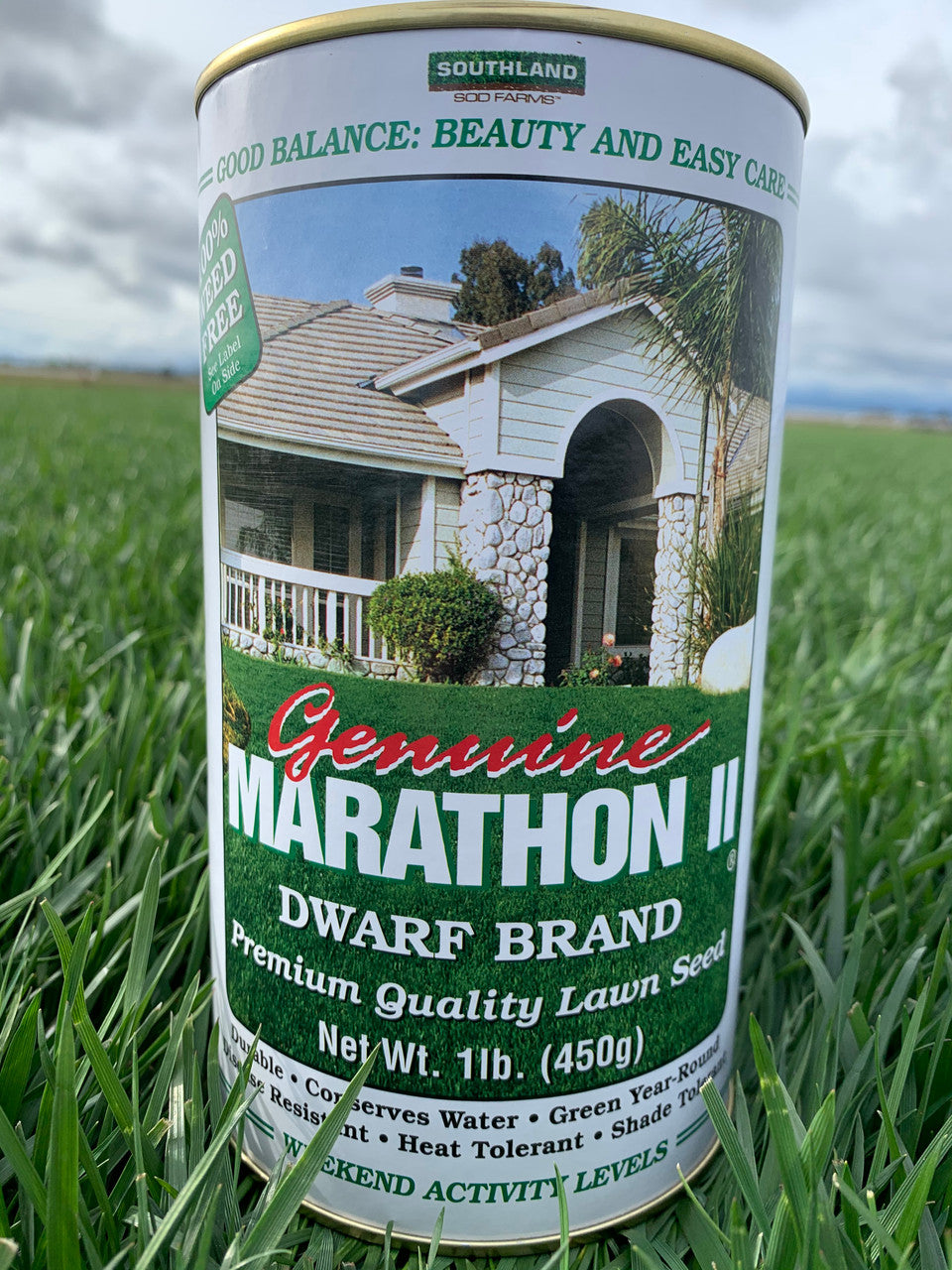 planting marathon grass seed Marathon II Grass Seed 1 lb
