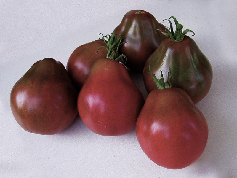 Japanese Black Trifele Tomato – Armstrong Garden Centers