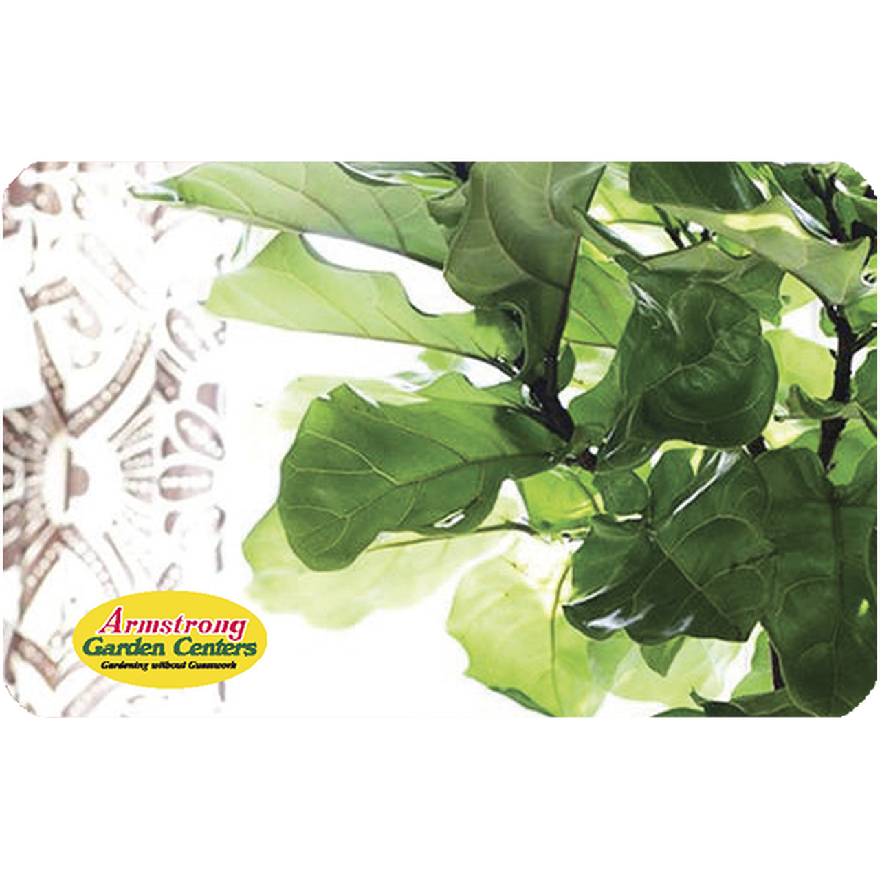 fiddle leaf fig tree gift Fiddle Leaf Fig Gift Card by Mail – Armstrong Garden Centers