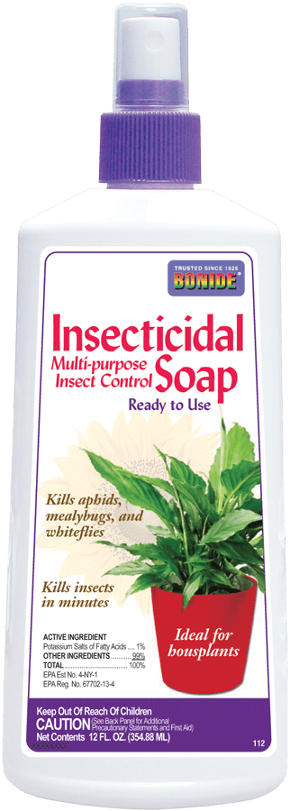 diy insecticidal soap for houseplants Bonide Insecticidal Soap (12oz)