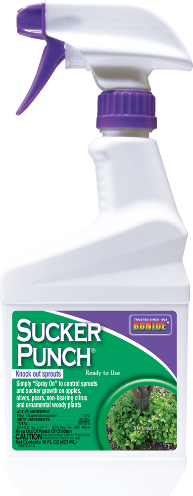 punch herbicide Sucker Punch® Ready-To-Use