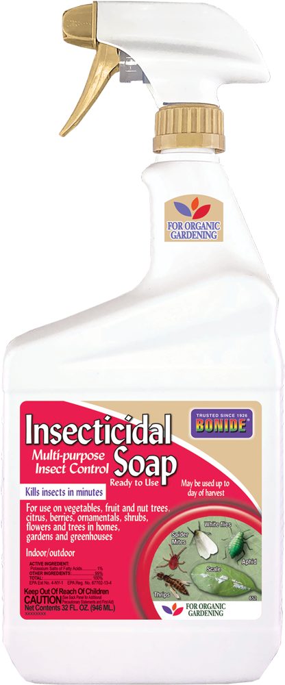 insecticidal soap succulents Insecticidal Soap Ready-To-Use