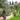 5 Ingredients for a Classic Mediterranean Garden