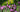 May Lawn & Garden Tips