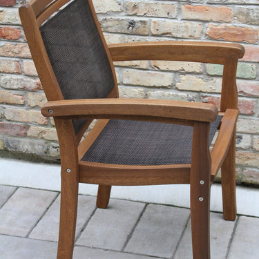 Eucalyptus Stackable Sling  Chair