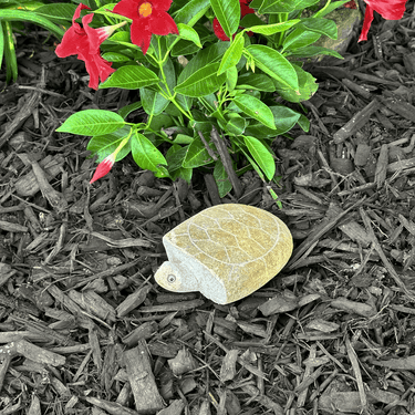Stone Age Boulder Turtle