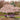 Akebono Yoshino Cherry - Monrovia