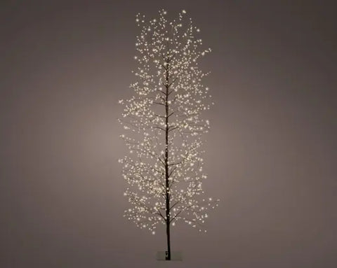 Lumineo Micro LED Birch Tree in Black, Warm White Lights (5.9 ft )