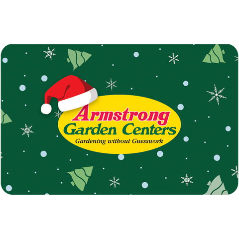 Digital Armstrong Holiday eGift Card