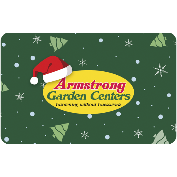 Digital Armstrong Holiday eGift Card