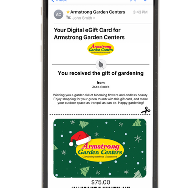 Digital Armstrong Holiday eGift Card