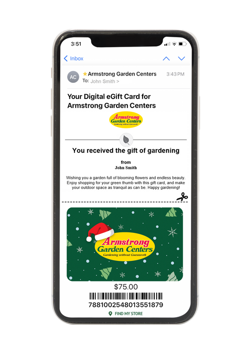 Digital Armstrong Holiday eGift Card