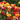 Digital Garden of Tulips eGift Card