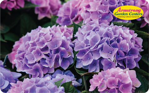 Digital Hydrangea Wishes eGift Card