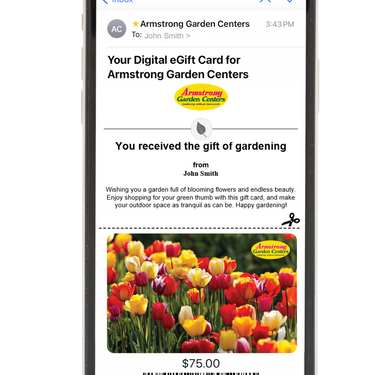 Digital Garden of Tulips eGift Card