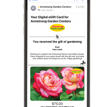 Digital Every Shade of Love eGift Card