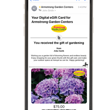 Digital Hydrangea Wishes eGift Card