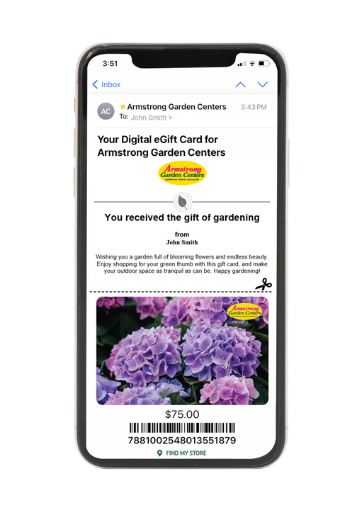 Digital Hydrangea Wishes eGift Card