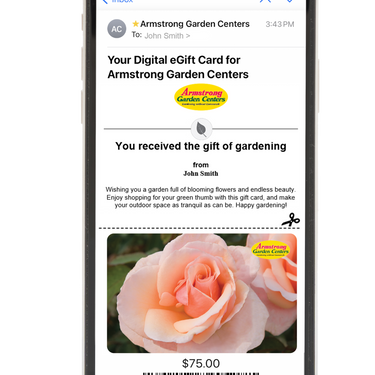 Digital Mother of Pearl Rose eGift Card