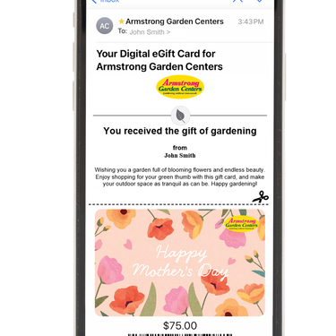 Digital Painted with Love for Mom eGift Card