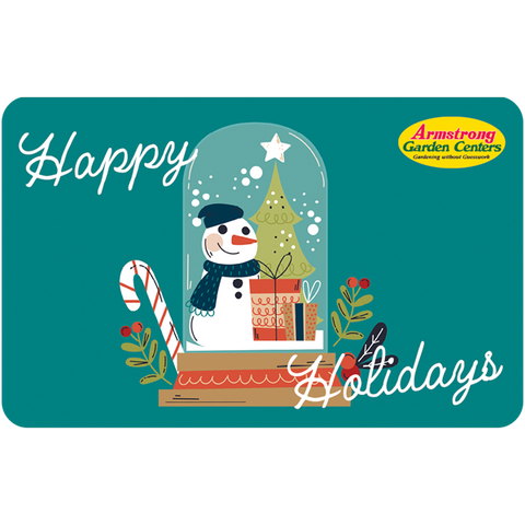 Digital Snow Globe Surprises eGift Card