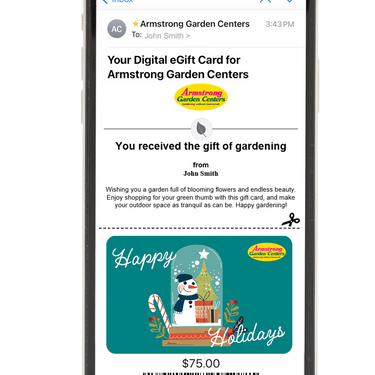 Digital Snow Globe Surprises eGift Card
