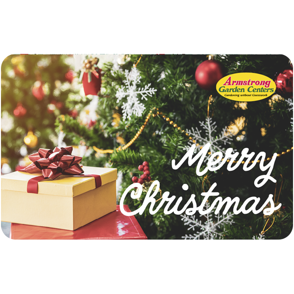 Digital Merry Christmas Tree Delight eGift Card