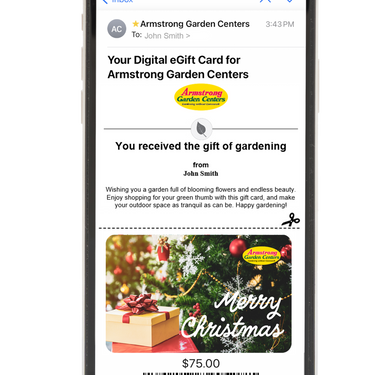 Digital Merry Christmas Tree Delight eGift Card