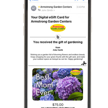 Digital Best Mom Ever eGift Card