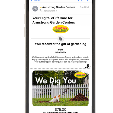 Digital We Dig You eGift Card