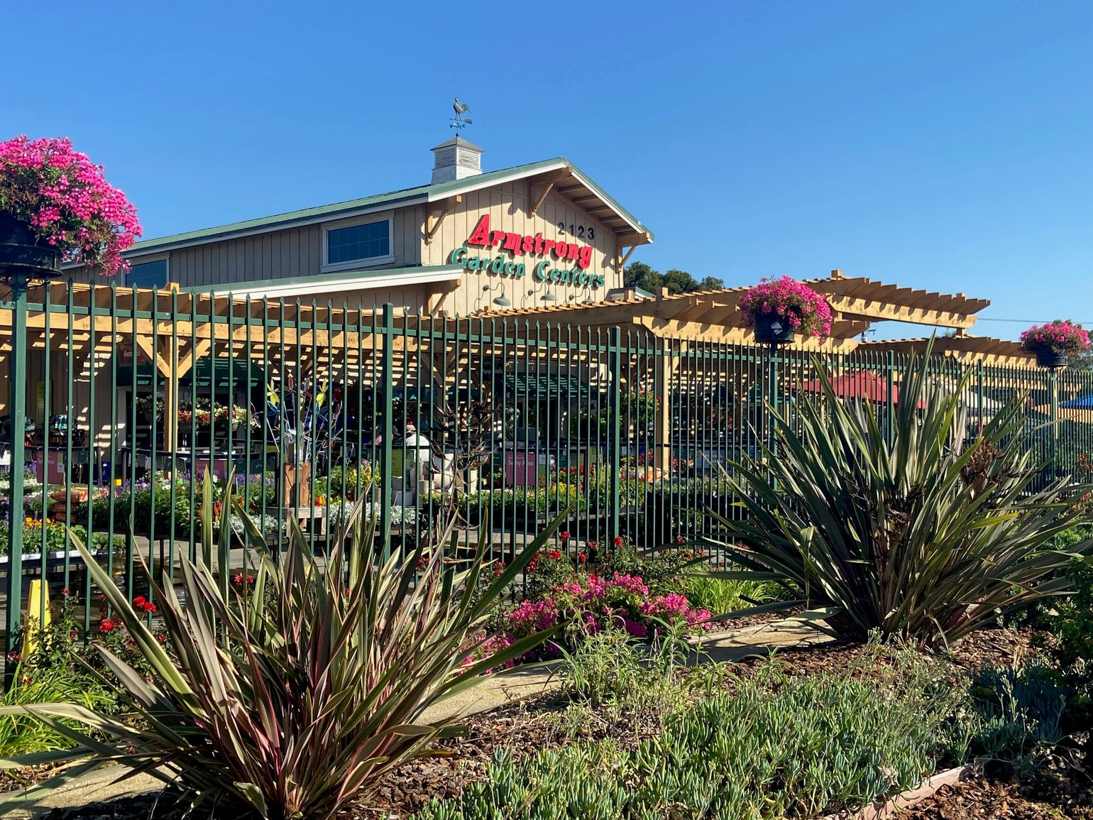 Contact Armstrong Garden Centers contact-armstrong-garden-centers
