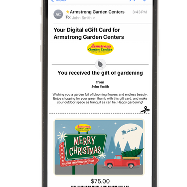 Digital Creating Traditions Holiday eGift Card