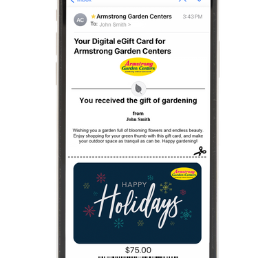 Digital Happy Holidays eGift Card