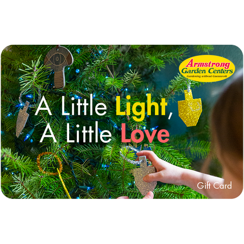Digital A Little Light, A Little Love eGift Card