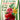 E.B. Stone Organics All Purpose Plant Food 5-5-5