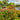 Landscape Designer Spotlight June13th 1pm - 5pm - Sign Up Now